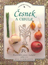 Česnek a cibule