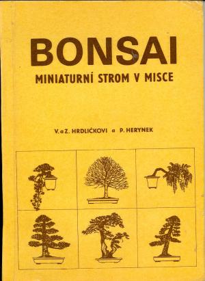 Bonsai: miniaturní strom v misce USED