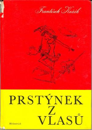 Prstýnek z vlasů USED