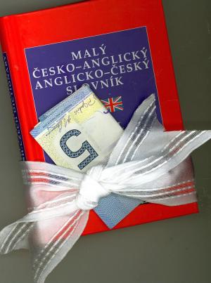 Malý česko-anglický anglicko-český slovník