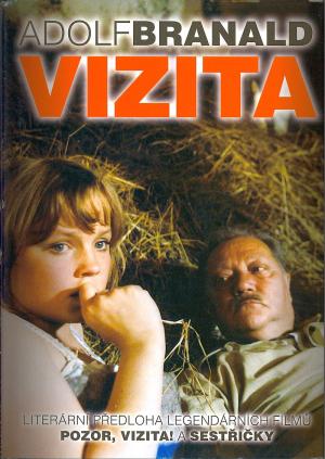 Vizita