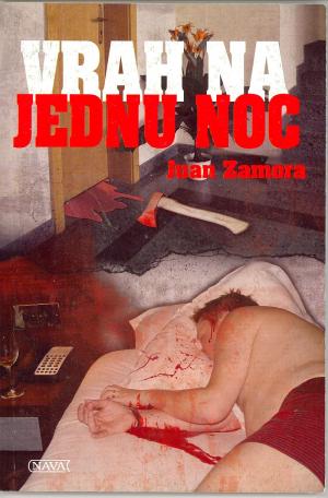 Vrah na jednu noc