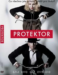 DVD Protektor (DVD + CD)